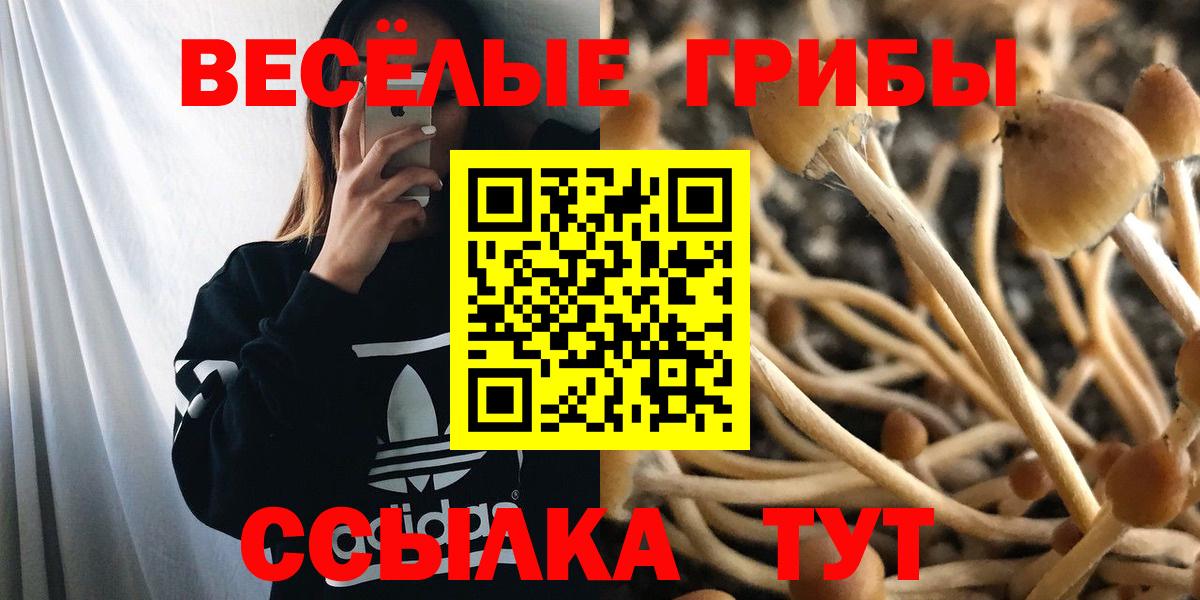 Еманжелинск  Псилоцибиновые грибы MAGIC MUSHROOMS  Вход с VPN 